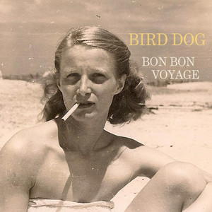 bird dog